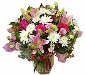 ורודה ומטריפה ורודה ומטריפה