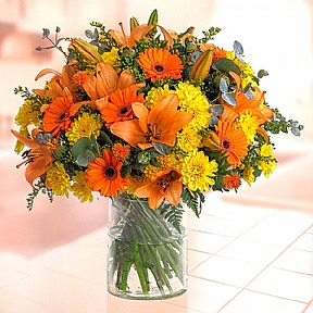 אקזוטי אקזוטי