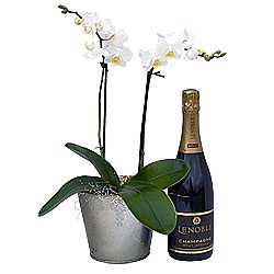 �������� ���� �� ������ CAVA