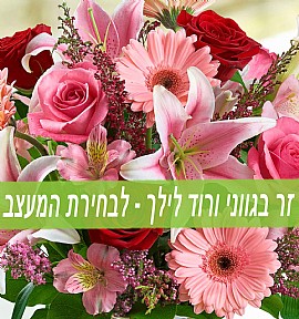 זר פרחים בגוונים ורוד סגול לבחירת המעצב (התמונה להמחשה) זר פרחים בגוונים ורוד סגול לבחירת המעצב (התמונה להמחשה)