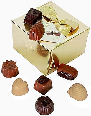 Guylian 100gr