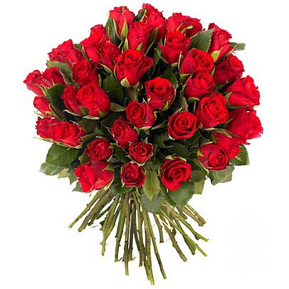 ��� ROSA
